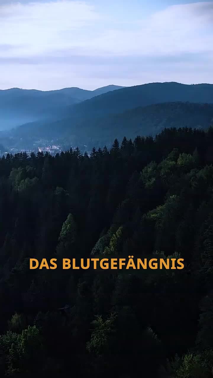 Schwanger, nachdem sie vom Alpha abgelehnt wurde - Folge 37