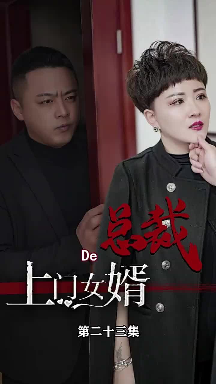 女總裁的上門女婿 - 第 23 集