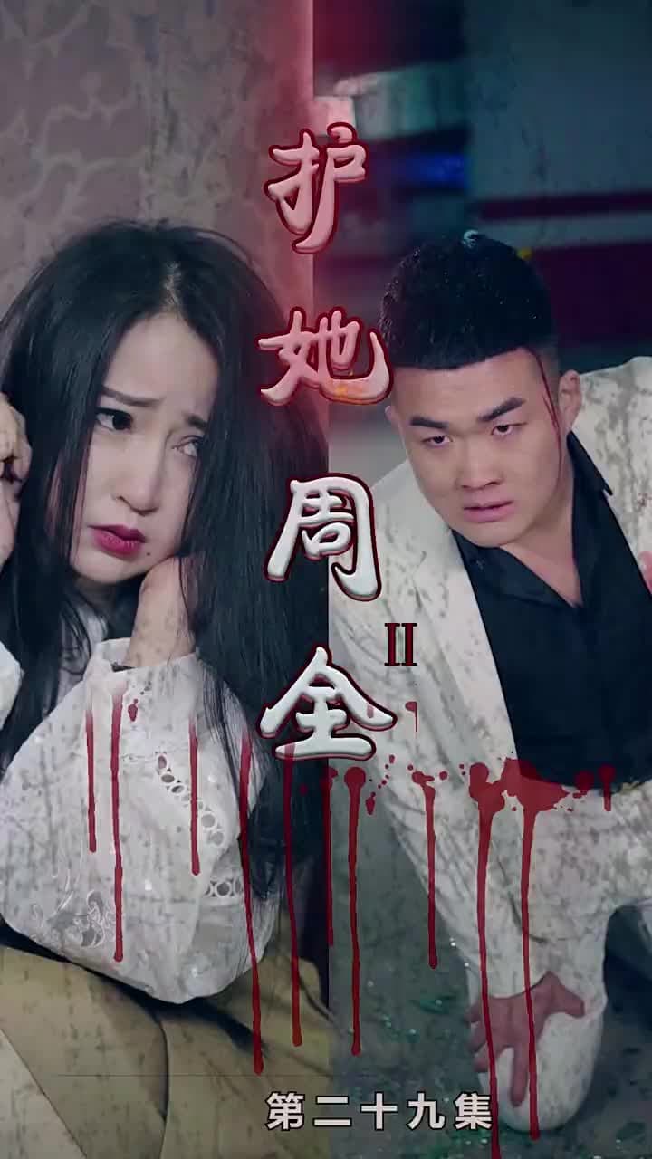護她周全2 - 第 29 集