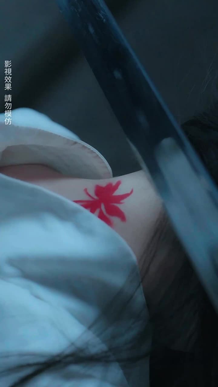 只恨深情不識鳶 - 第 12 集