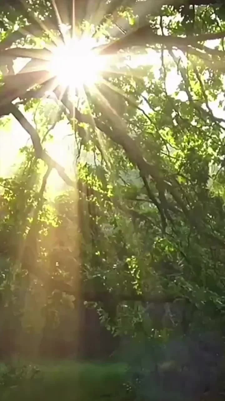 天降暖暖照柳時 - 第 47 集
