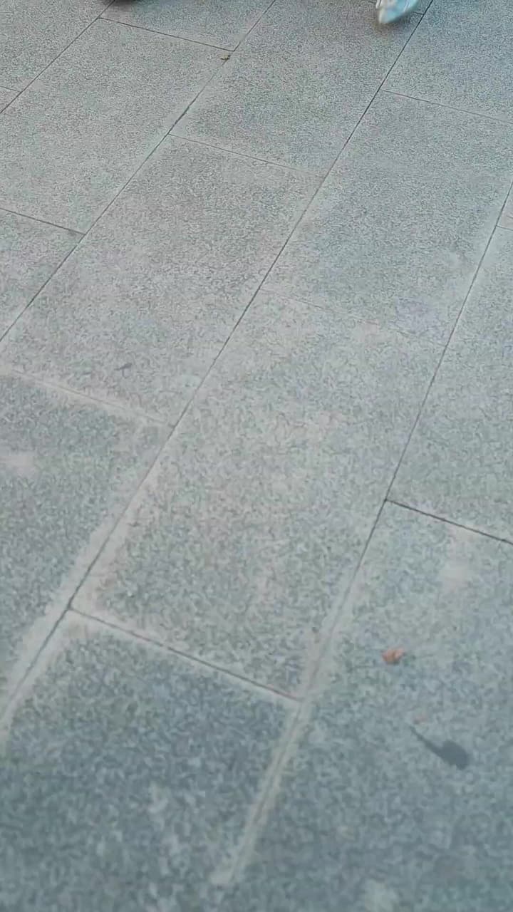 傅少的落跑嬌妻 - 第 162 集