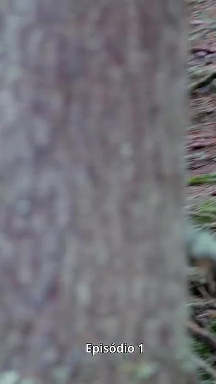 Grávida do Segredo Proibido Dele - Episódio 1