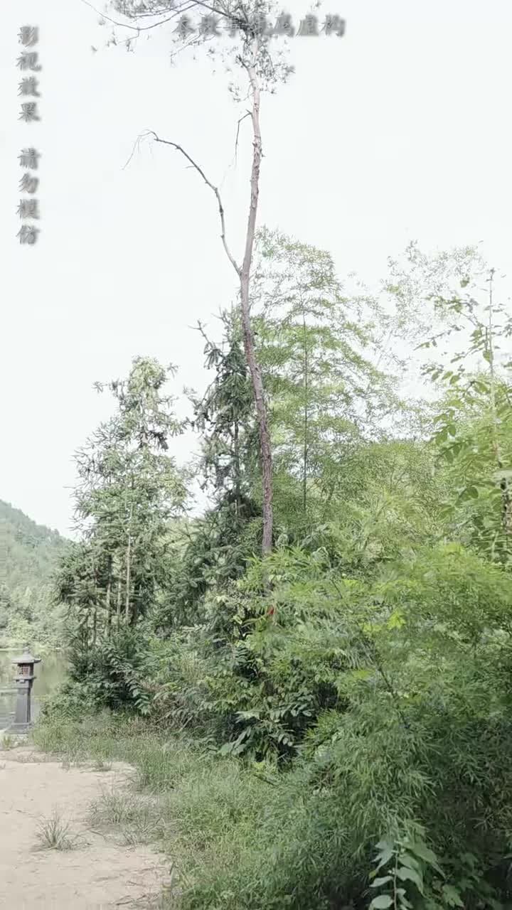 大魏第一神探 - 第 88 集