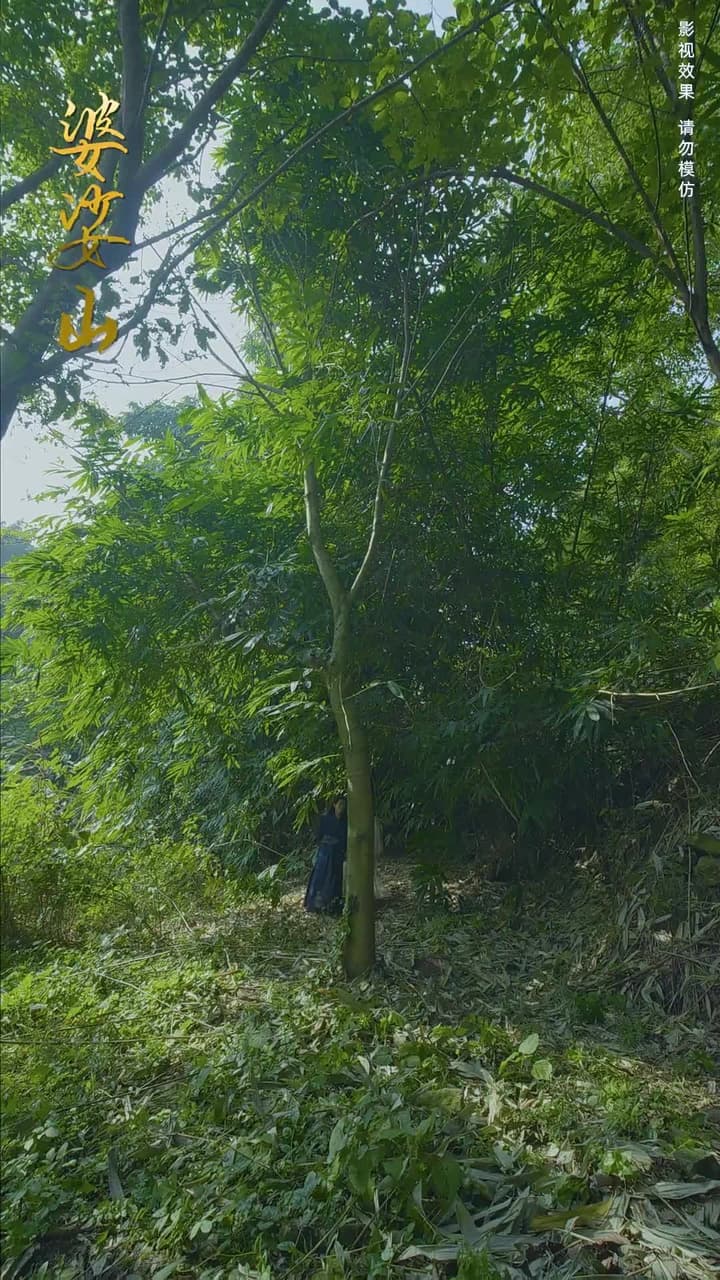 化邪 - 第 82 集