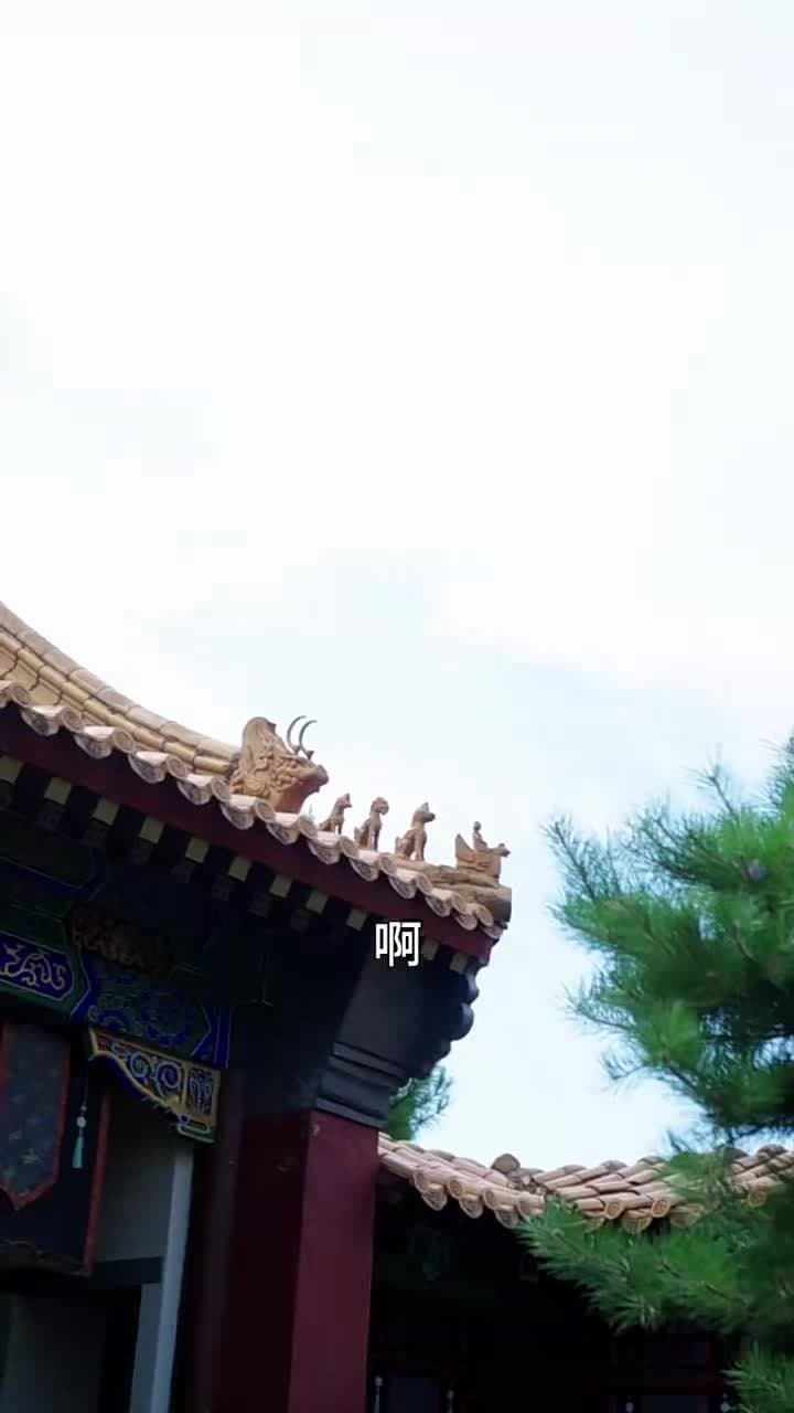 昭昭明月探君心 - 第 10 集