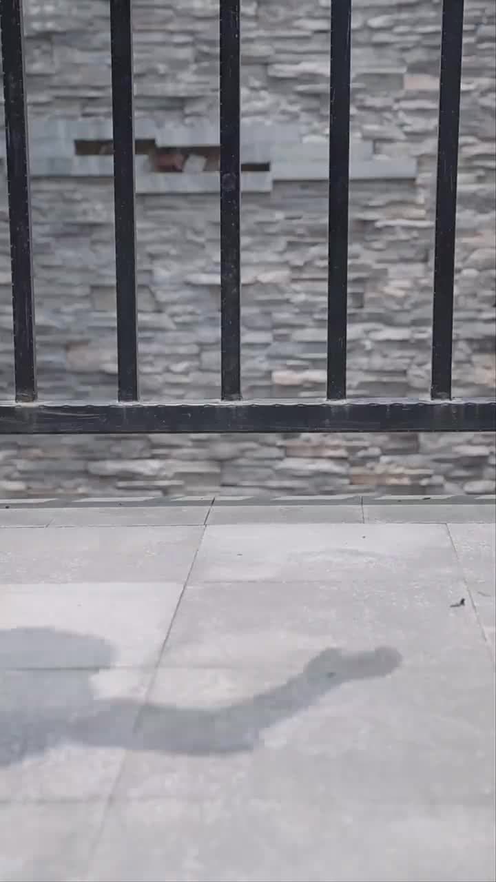 俏總裁的貼身保鏢 - 第 77 集