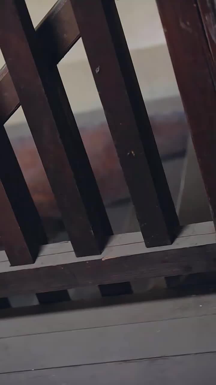 隱秘關系 - 第 51 集