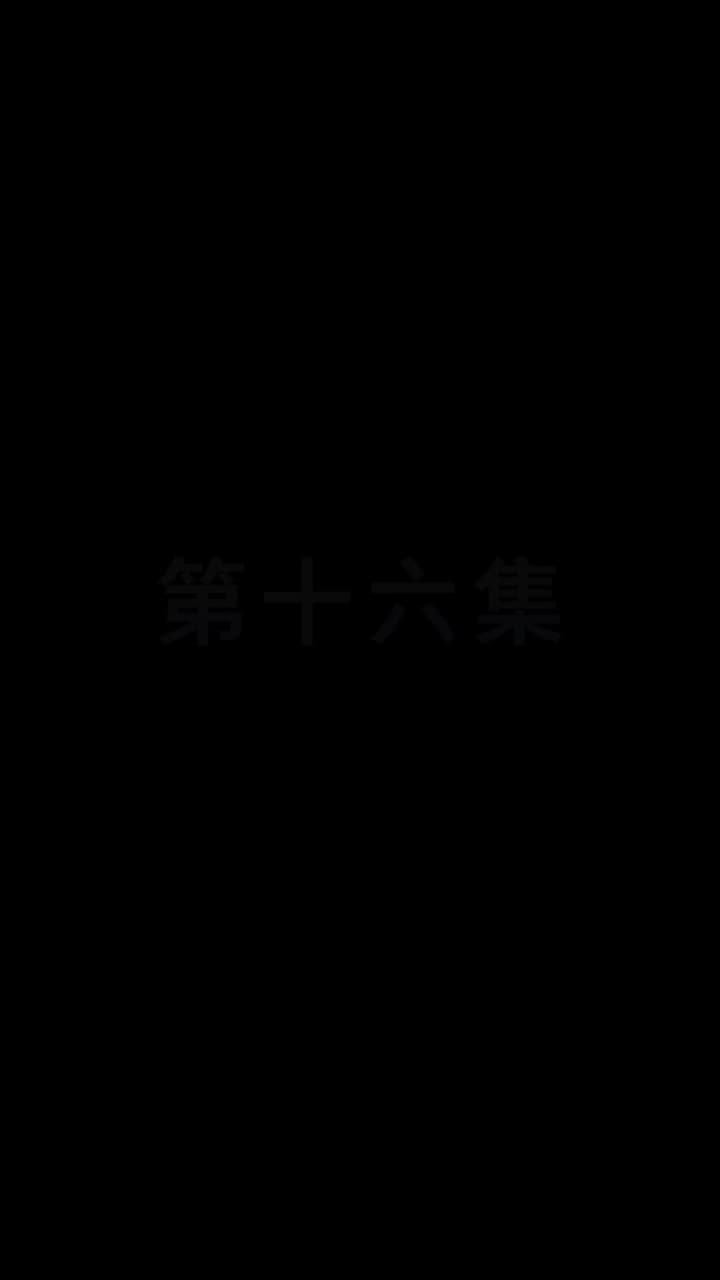 都市縱橫之豪婿當道 - 第 16 集