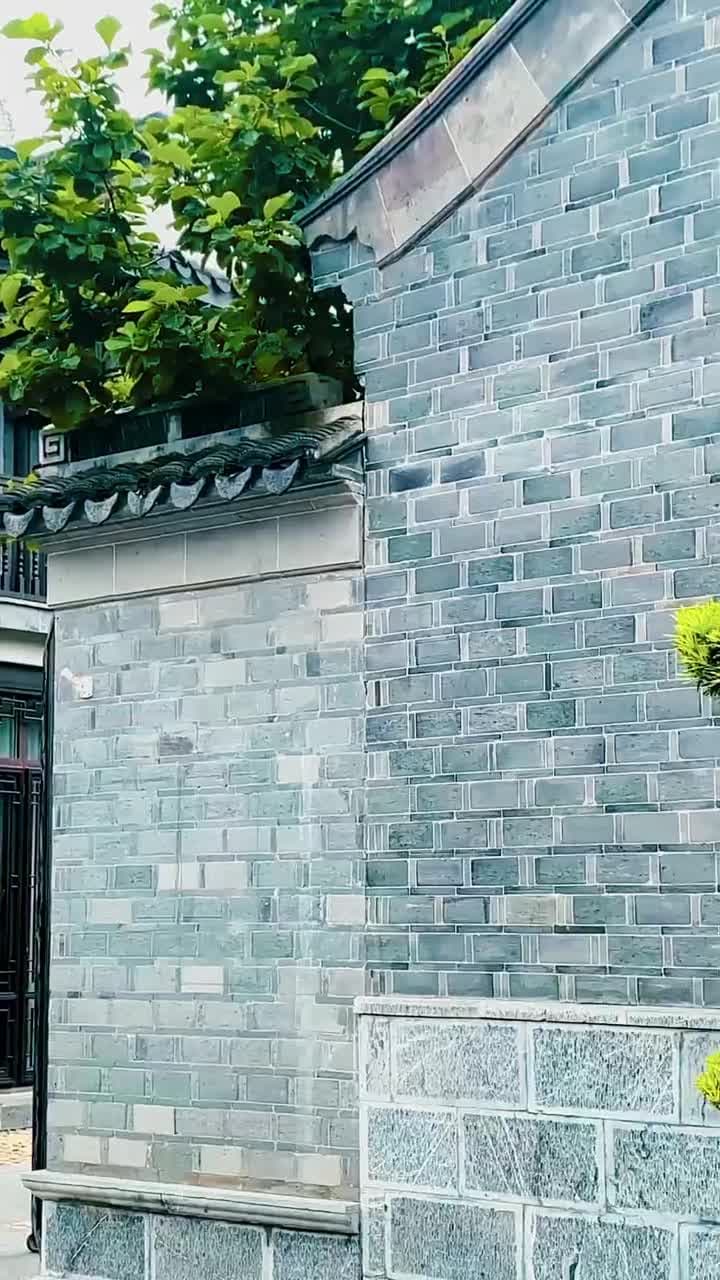 美女總裁的貼身狂龍 - 第 45 集