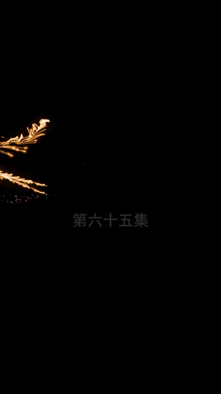 超級女婿 - 第 65 集