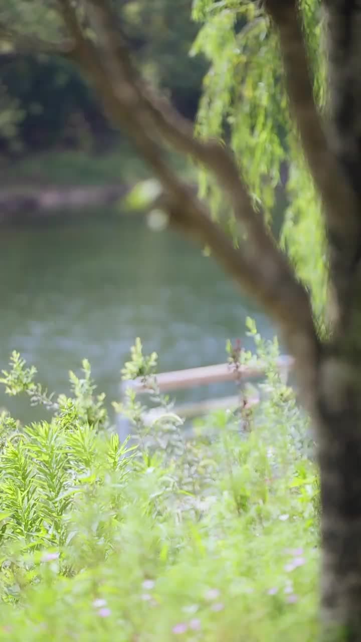 豪門爭霸 - 第 14 集