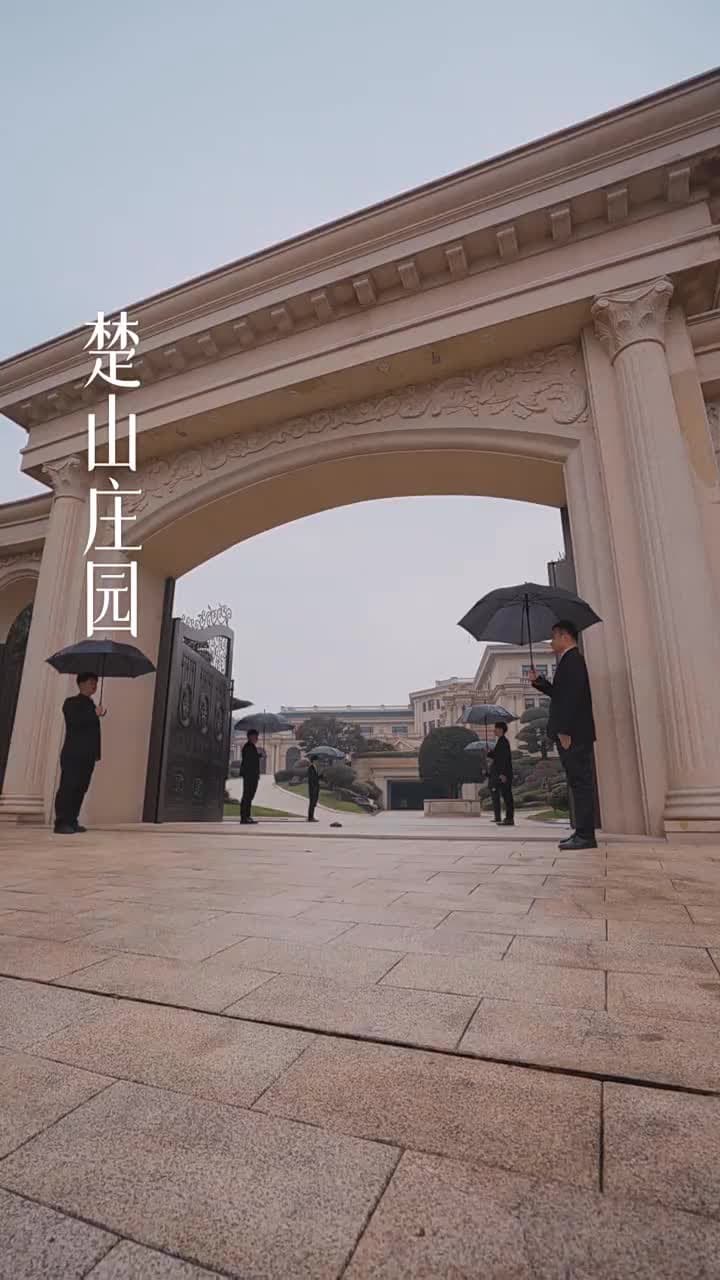 雙生奪愛陸總你認錯夫人了 - 第 10 集