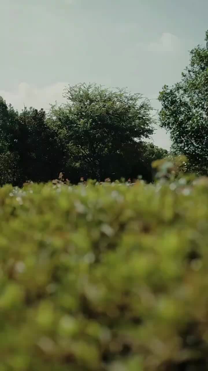 El amor nos encontró otra vez - Episodio 43