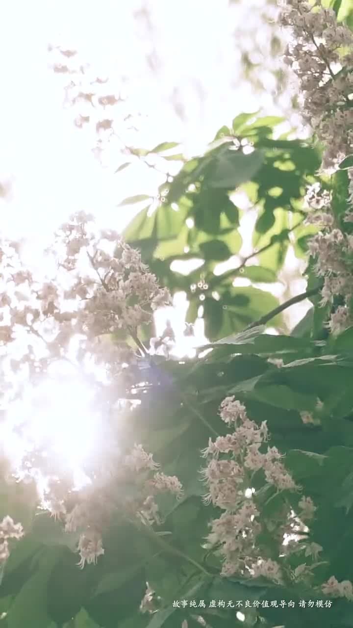 紅顏登科錄 - 第 7 集