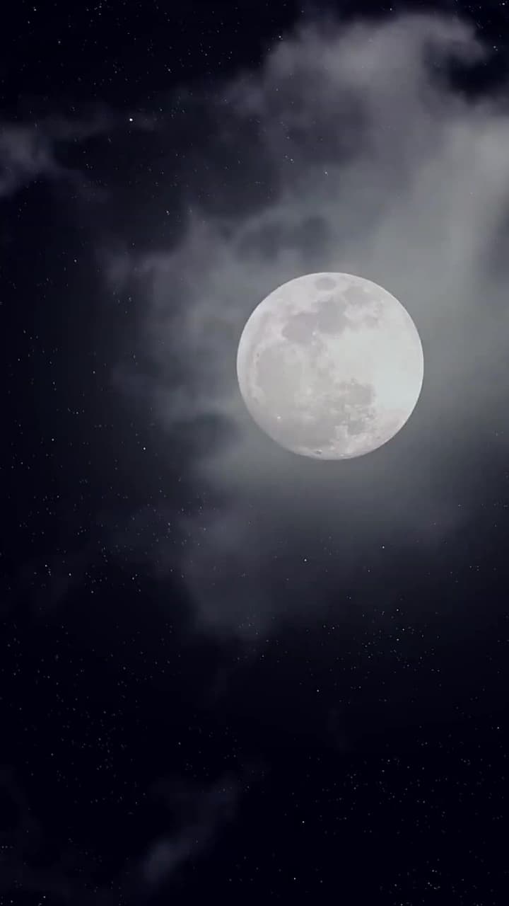 Der Fischhändler ist mein Milliardär - Folge 38