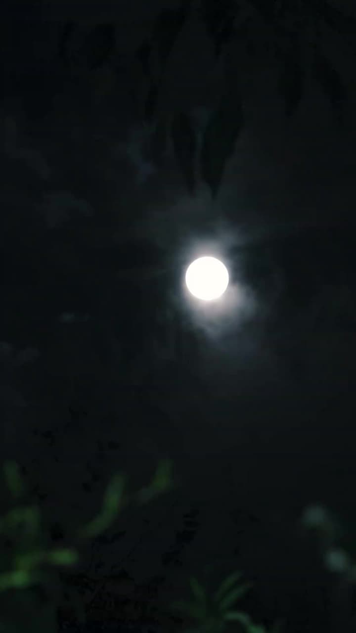 奧運之漁家傲 - 第 3 集
