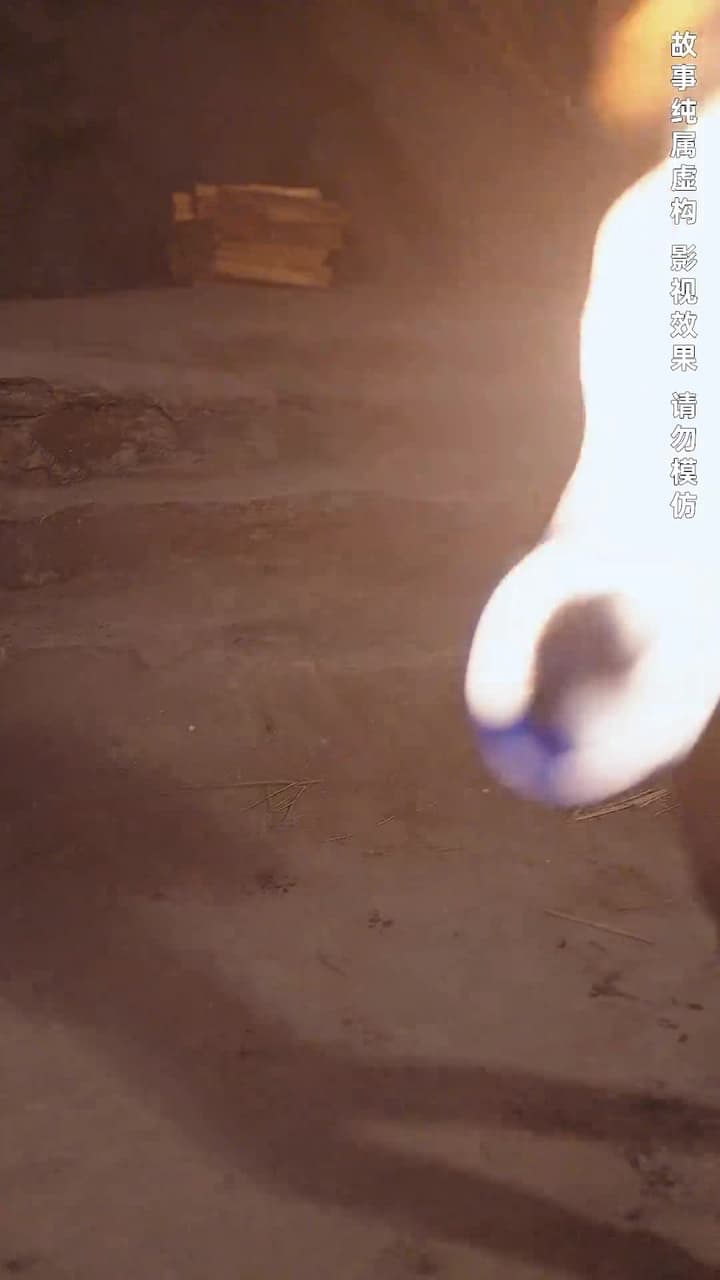 荒島探寶 - 第 11 集