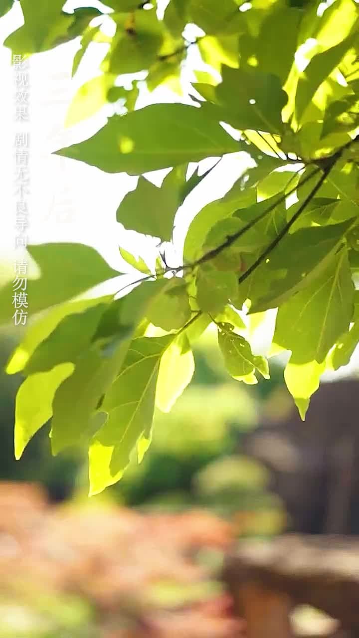 萬夫莫敵 - 第 6 集
