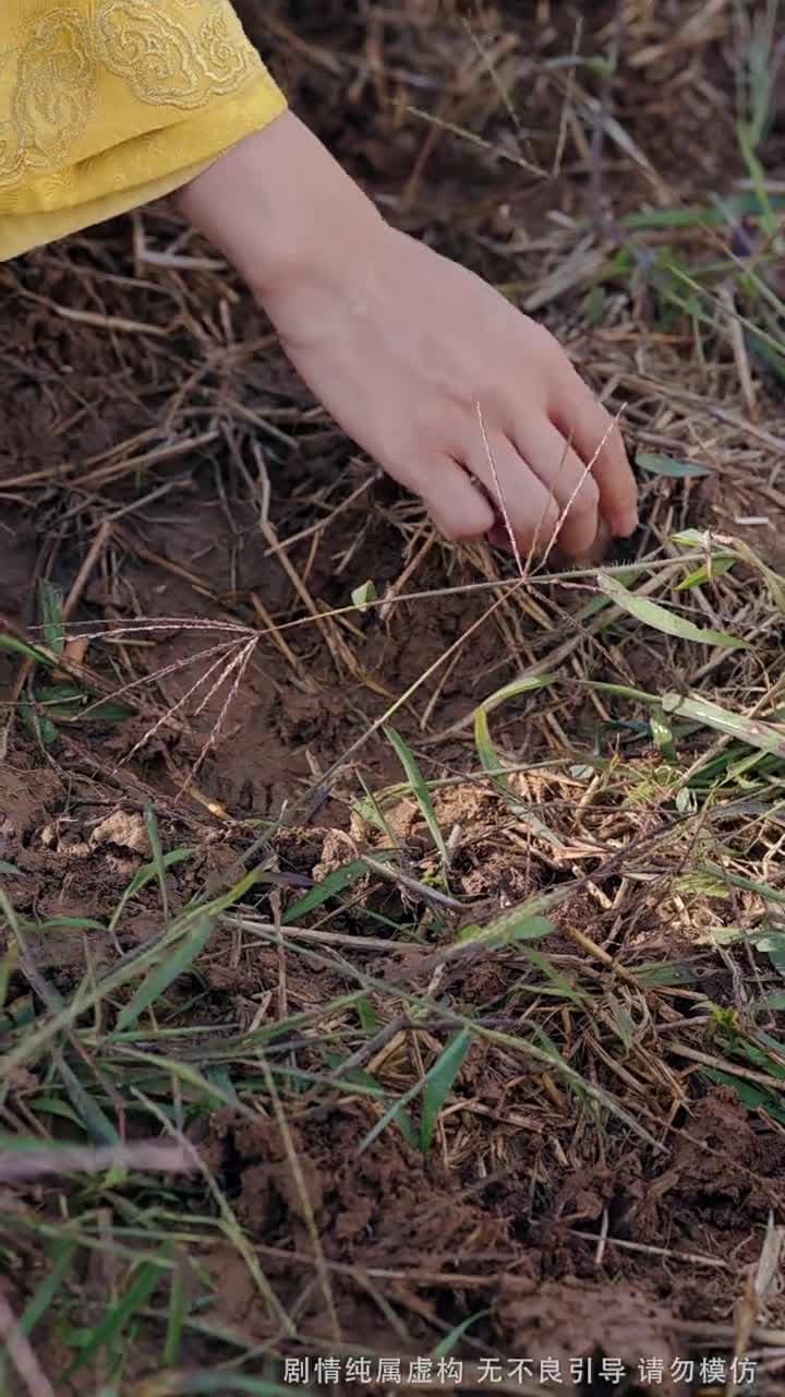 舉國之力,送我去後世留學五年 - 第 50 集