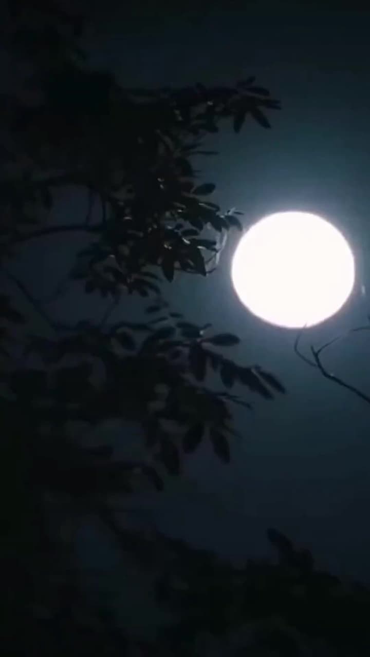 不靈不靈 - 第 1 集