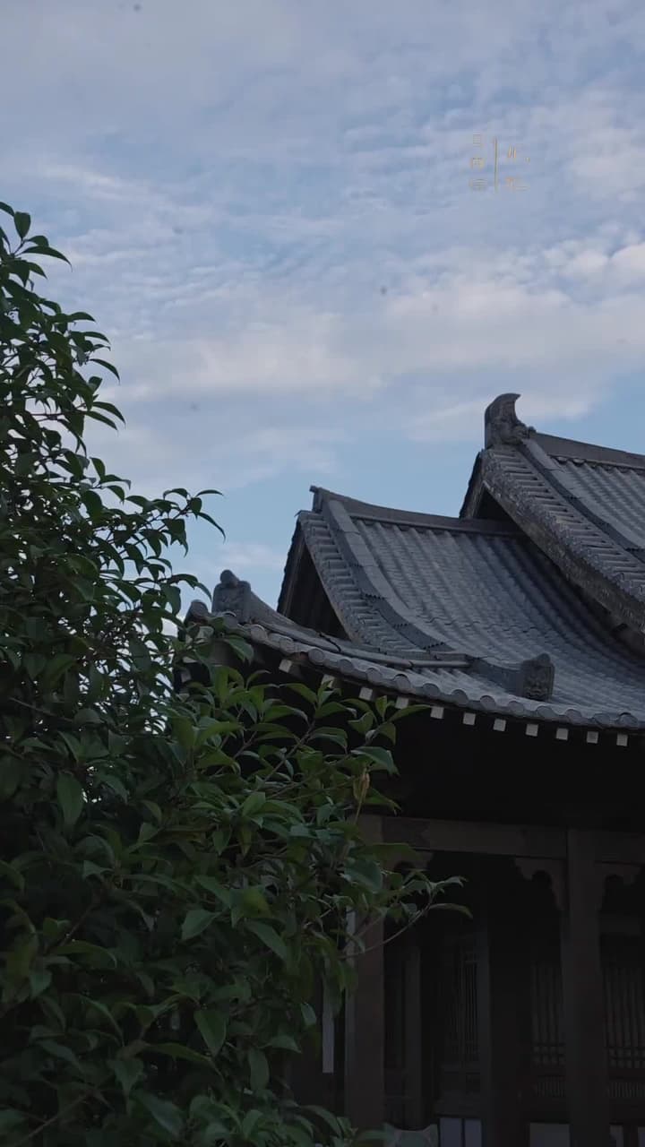 踏宮闕 - 第 42 集