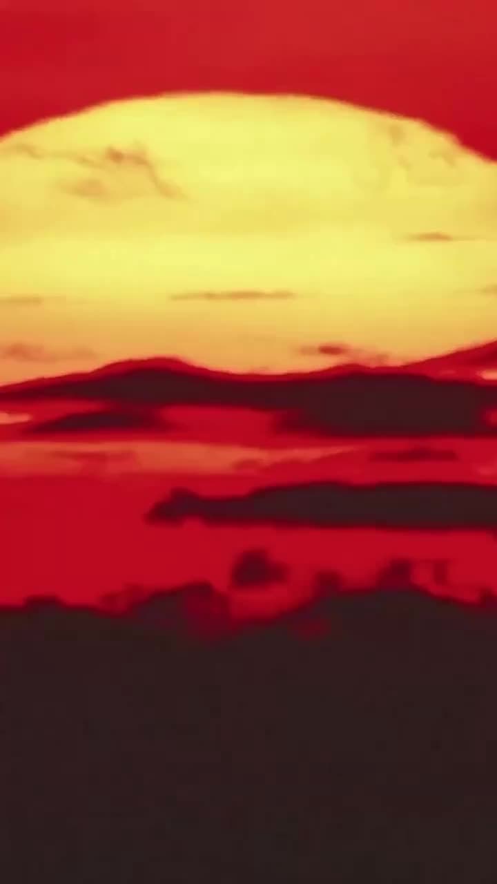 白夜陷落 - 第 25 集