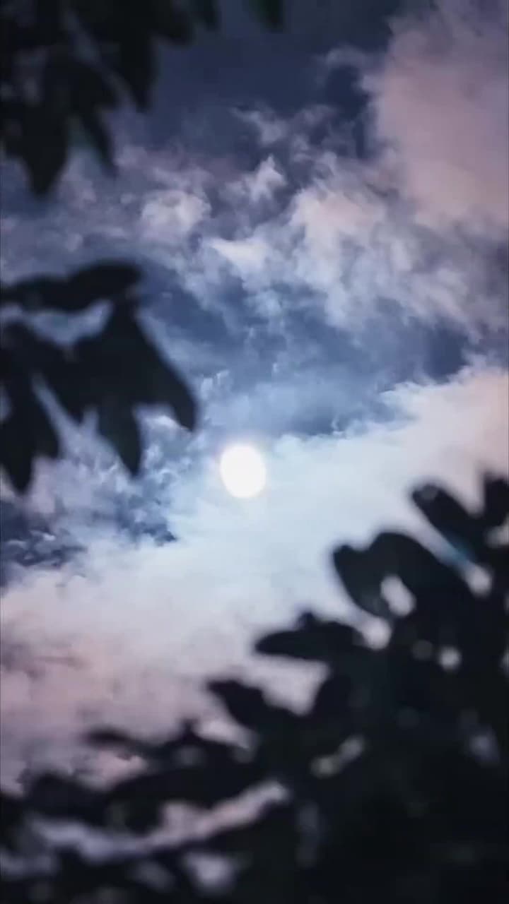 白夜陷落 - 第 38 集