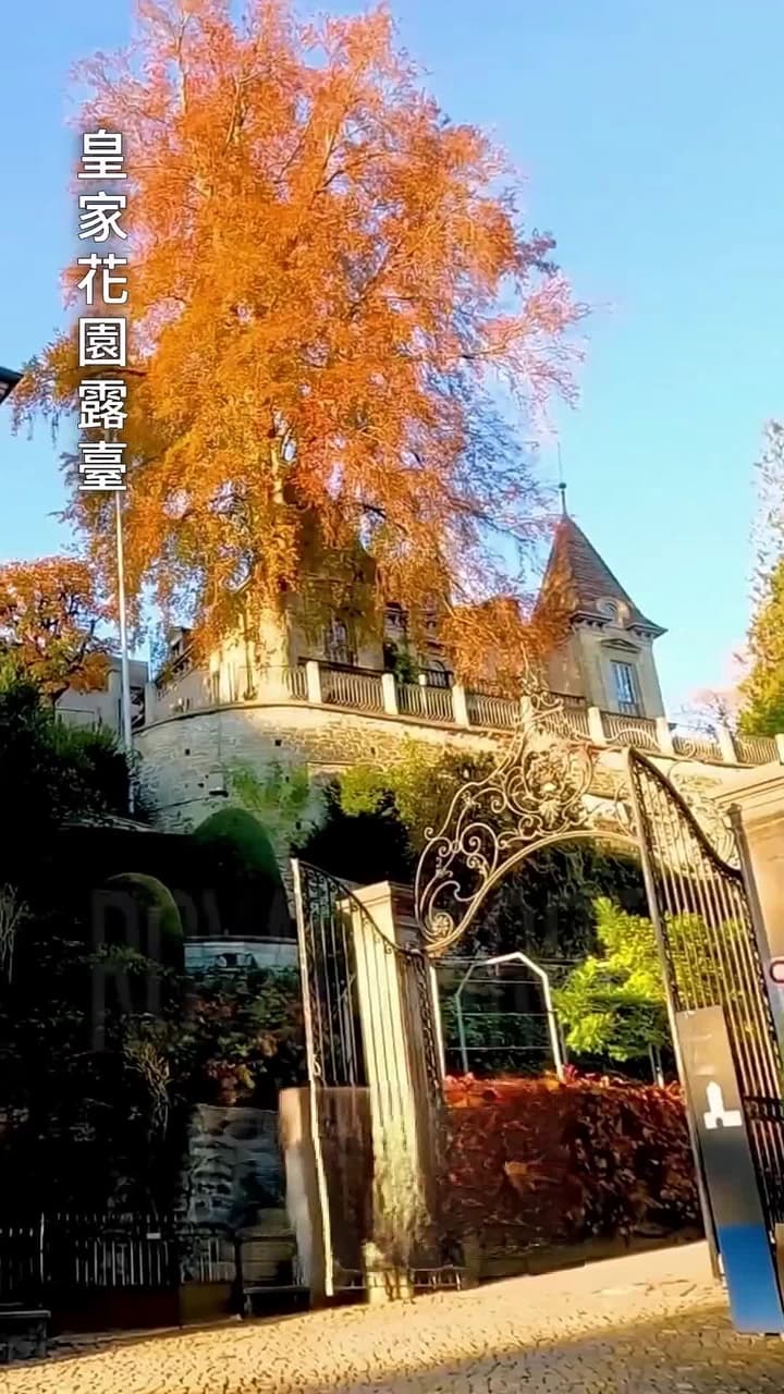 我可憐的前妻是繼承人 - 第 9 集