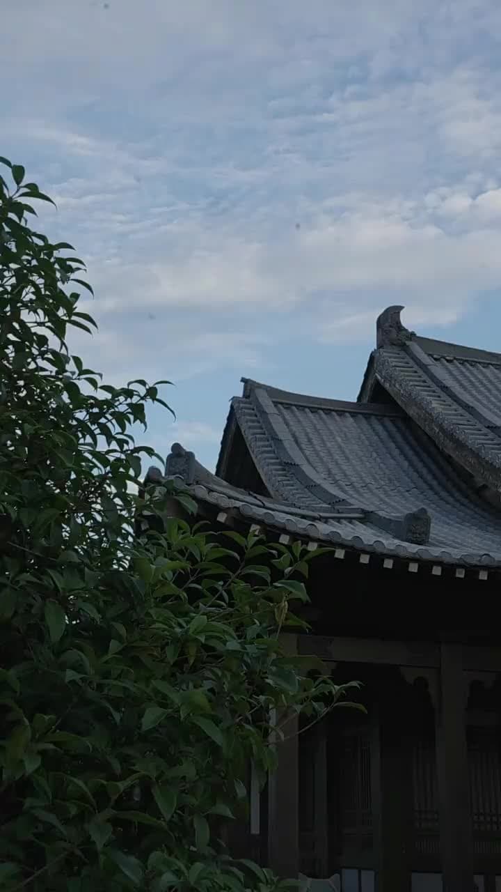 Thâm Cung Kế - Tập 42