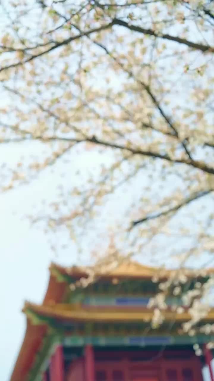 Tình Yêu Phai Màu - Tập 8