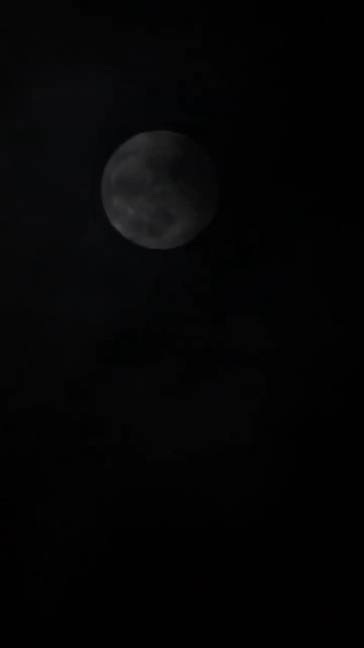 出獄後,她成了封少心尖寵 - 第 73 集