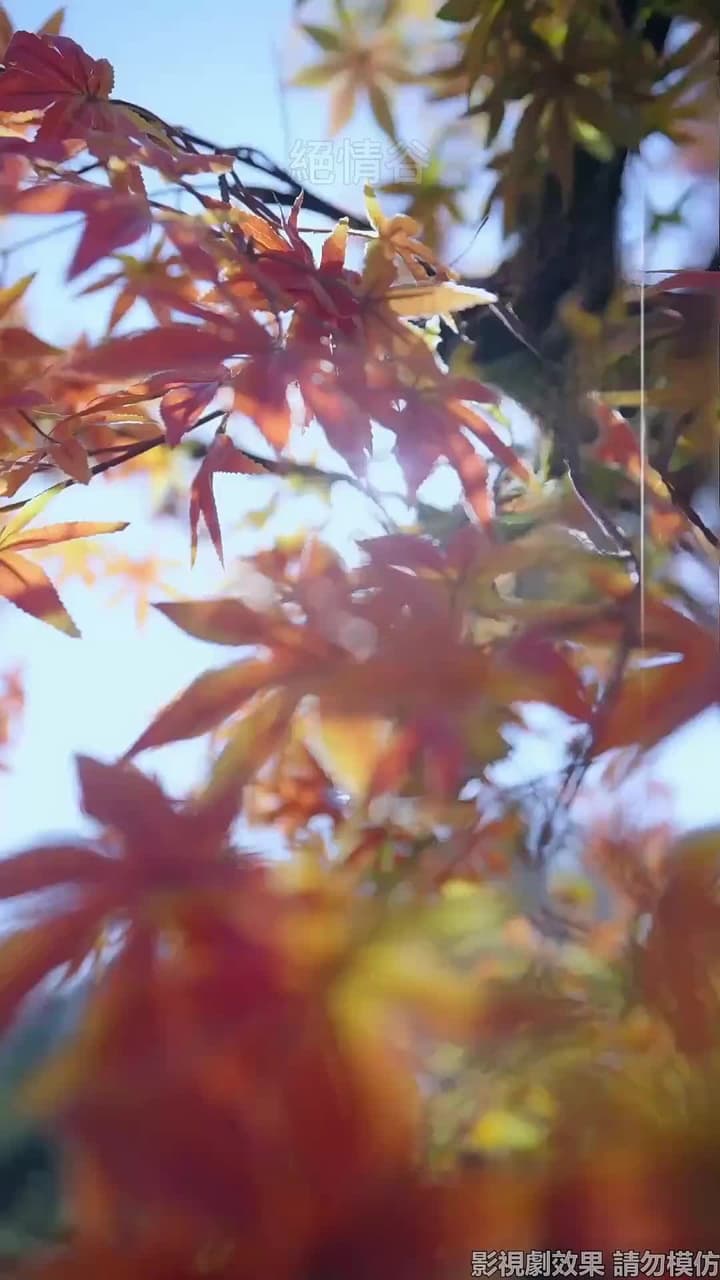 斬情緣斷妄念我只想成仙 - 第 2 集