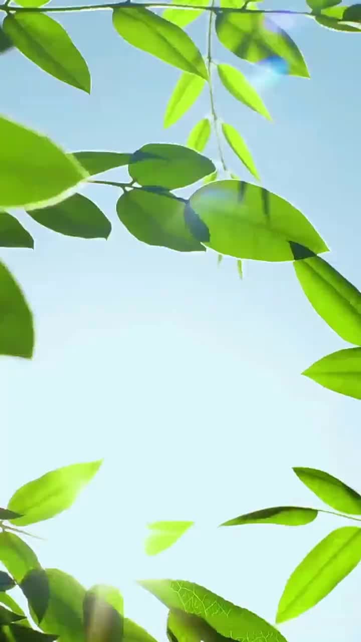 醫路芳華 - 第 58 集