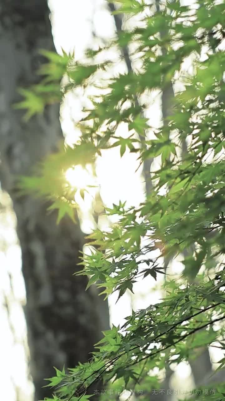 紅妝盡頭,幸有歸途 - 第 59 集