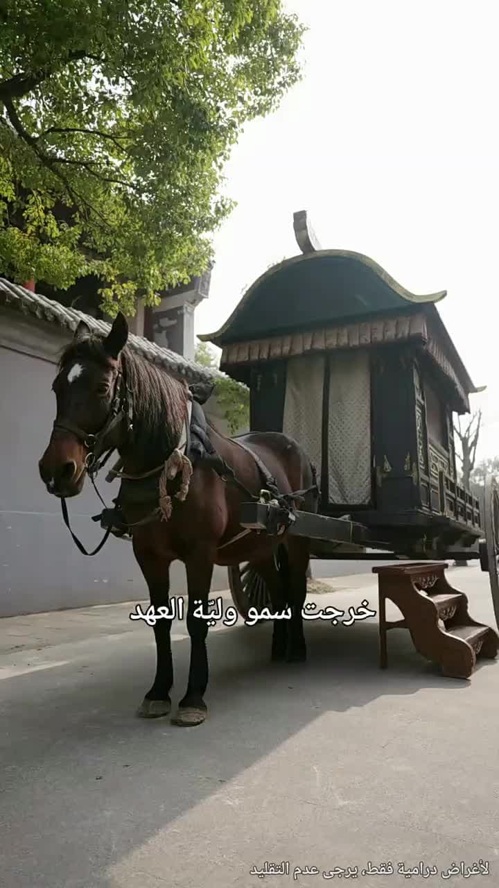 نجوم فوق القصر - الحلقة 34