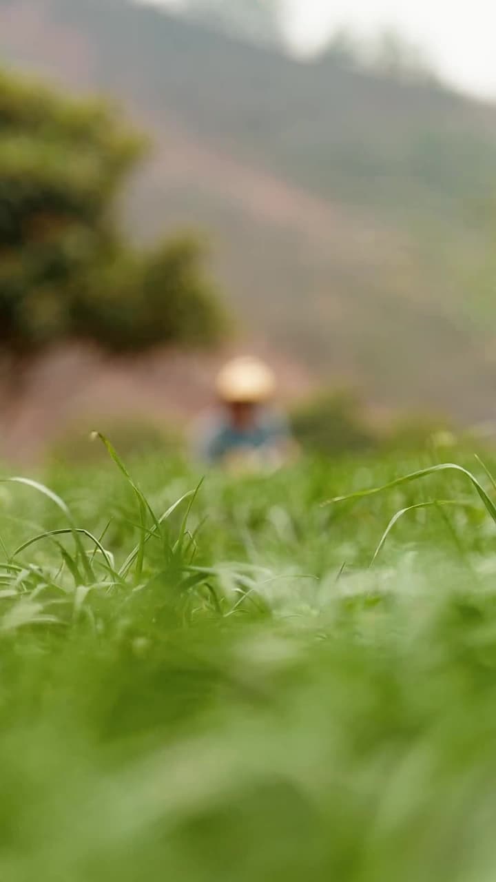 真千金她一心事業 - 第 77 集