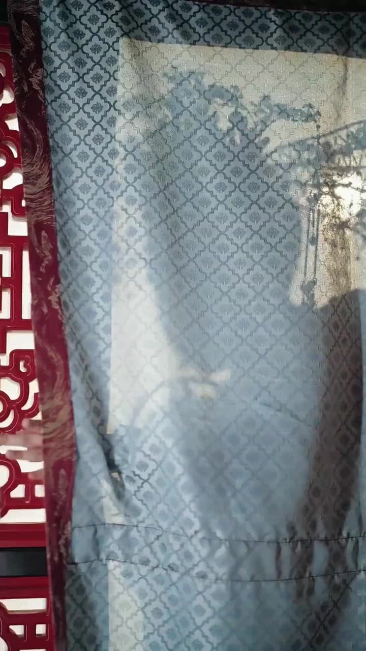 重生賜婚宴,渣太子喊我小皇嬸 - 第 13 集