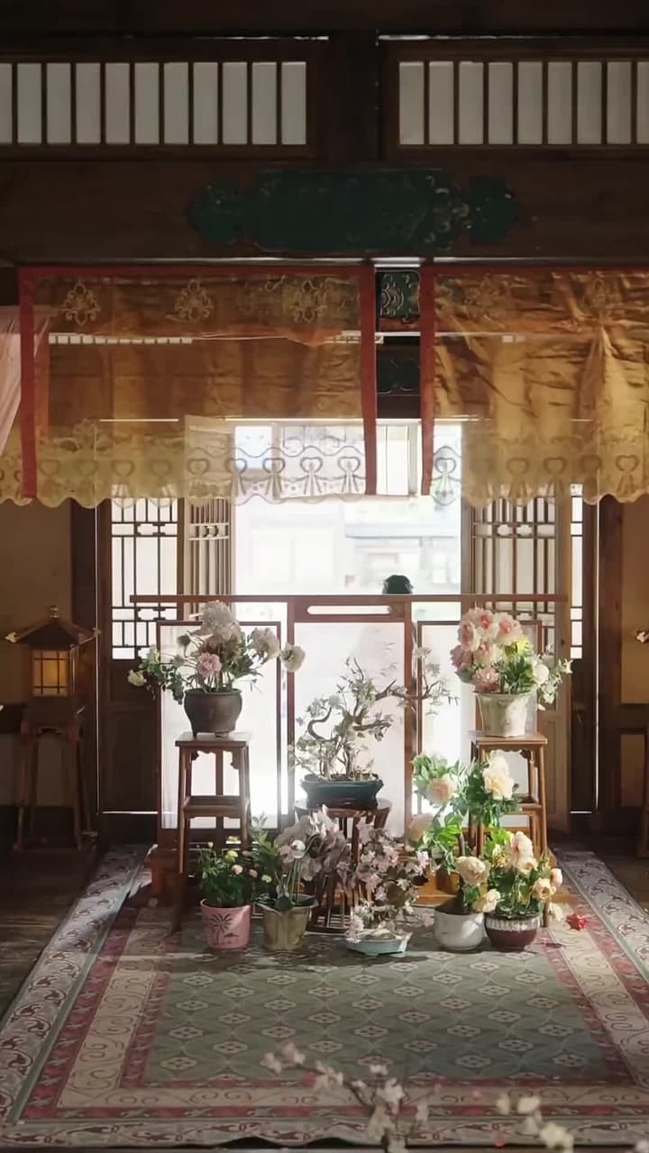 Let Me Die of Old Age! - Episode 8