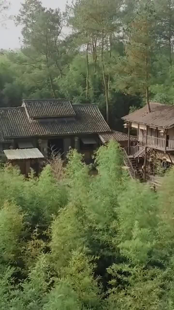 什麼白月光,我是他們的黑心蓮 - 第 67 集