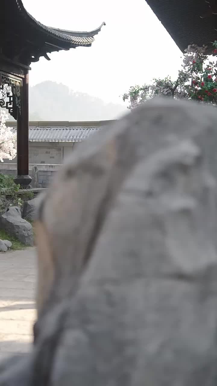 什麼白月光,我是他們的黑心蓮 - 第 47 集