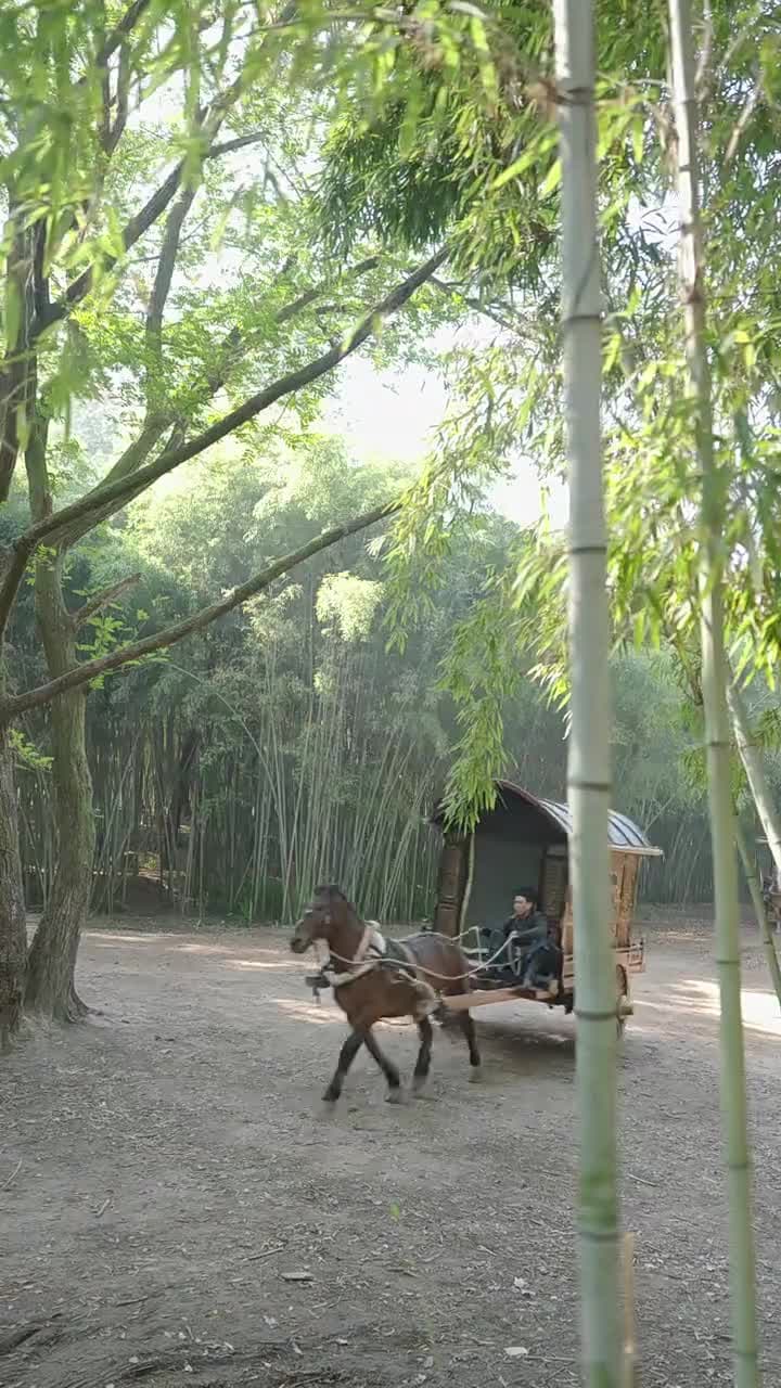什麼白月光,我是他們的黑心蓮 - 第 51 集