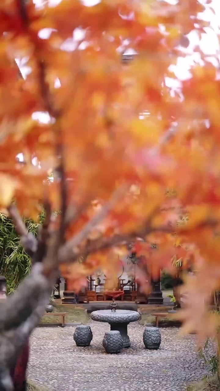大婚日,新郎納妾我怒嫁竹馬 - 第 12 集