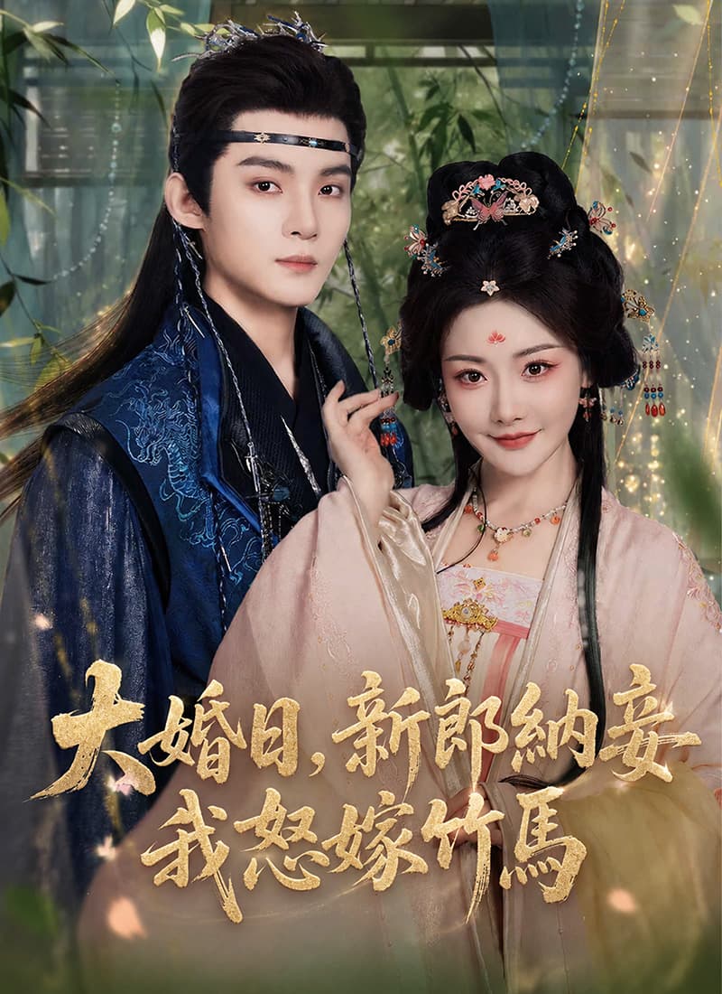 大婚日,新郎納妾我怒嫁竹馬