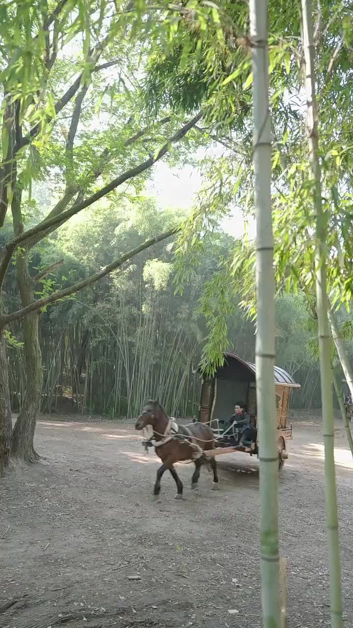 什麼白月光,我是他們的黑心蓮 - 第 51 集