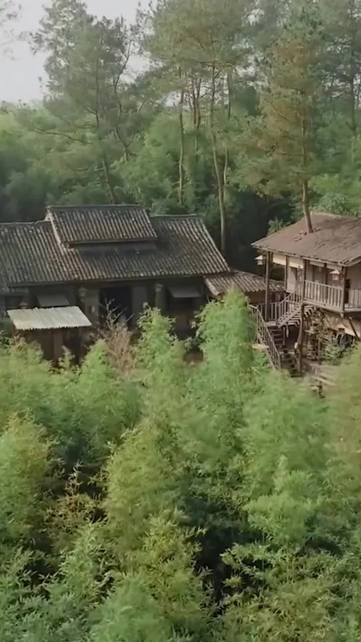 什麼白月光,我是他們的黑心蓮 - 第 67 集