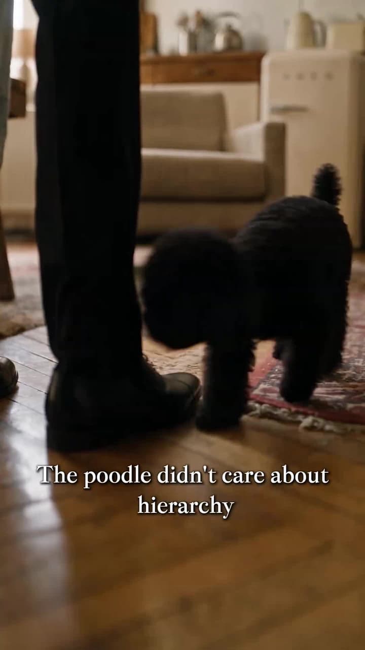 I Mistook The Blind Billionaire For My Brother's Dog - Episode 28