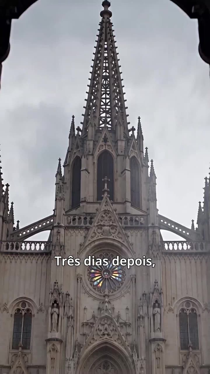 Depois de renascer, casei com o chefão que matou a minha irmã - Episódio 2